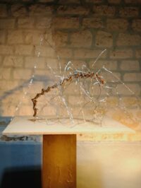 sooig-intriguante-2021-07.jpg