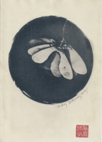 Detournay-Audrey-2021-07.jpg