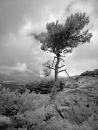 lecot-jeanpierre-2021-02.jpg