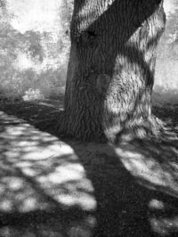 lecot-jeanpierre-2021-03.jpg