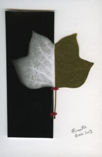 prissette-aurelie-2021-01.jpg